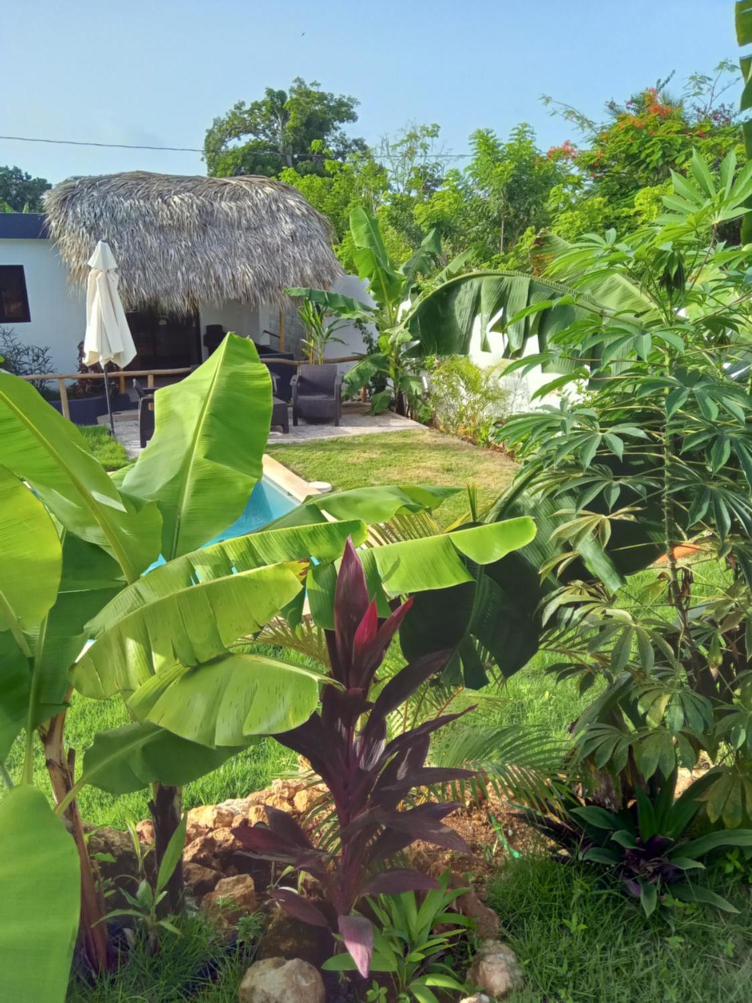 Bungalows Colibri Las Galeras Exterior photo